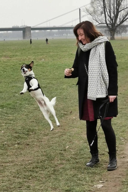 Meine Motivation als Hundetrainerin. Hier erfährst du etwas über mich und mein Hundetraining