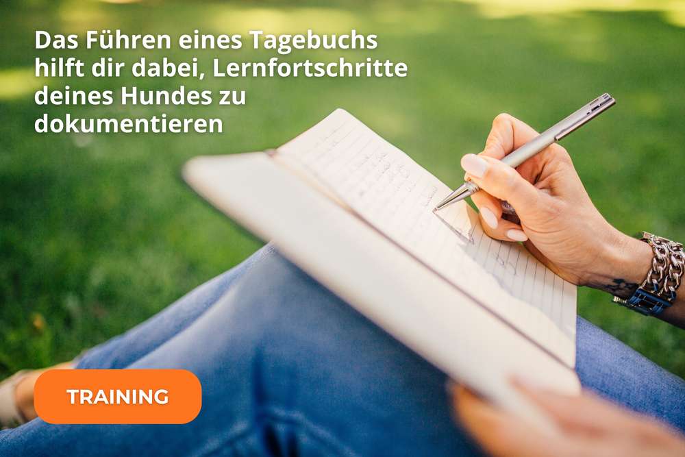 Ein Hundetagebuch hilft, Training, Spaziergänge und Fortschritte des Hundes übersichtlich festzuhalten. Ein Hundetagebuch hilft, Training, Spaziergänge und Fortschritte des Hundes übersichtlich festzuhalten.