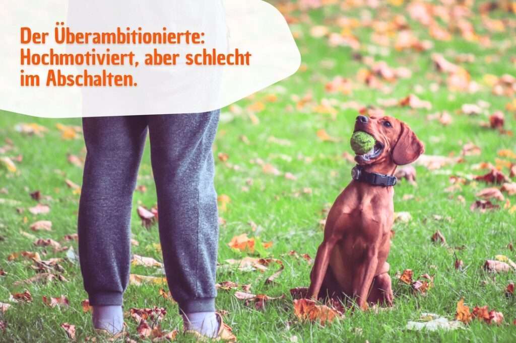 Der Überambitionierte: Hochmotiviert, aber schlecht im Abschalten.