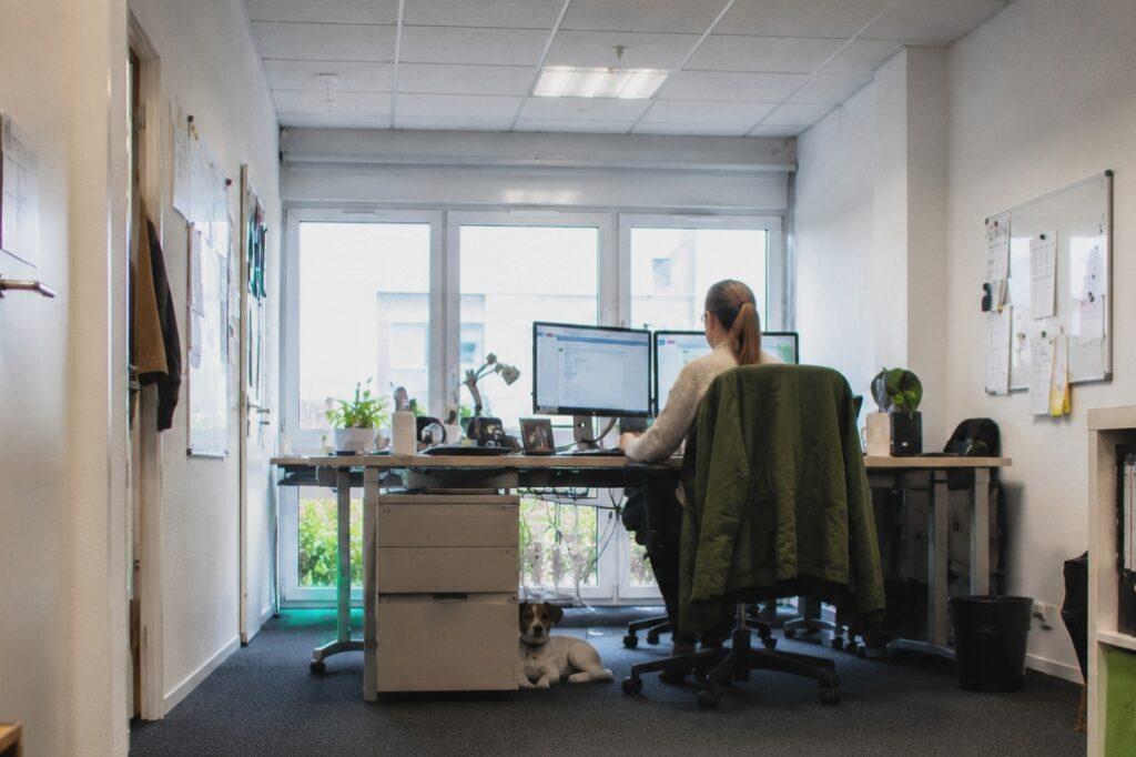 Bürohund: Darf der Hund mit ins Büro Bürohund: Darf der Hund mit ins Büro