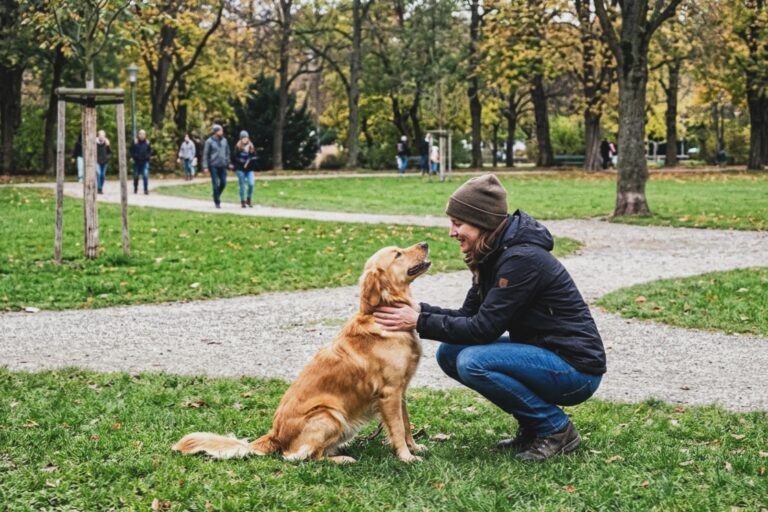Hund motivieren ohne Leckerlies mit Vertrauen und Zuwendung