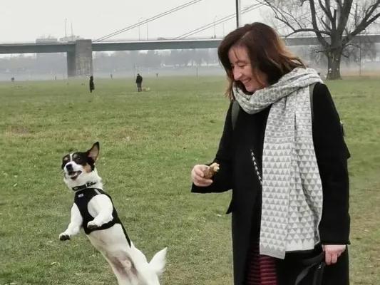 Meine Motivation als zertifizierte Hundetrainerin