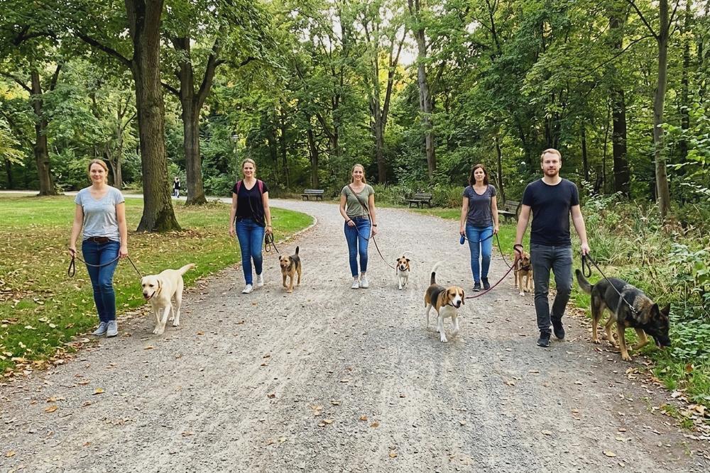 Social Walk in Düsseldorf in kleinen Gruppen