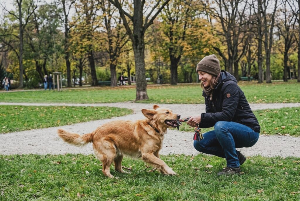 Spielpause mit dem Hund steigert den Lernerfolg und wird als Belohnung wahrgenommen